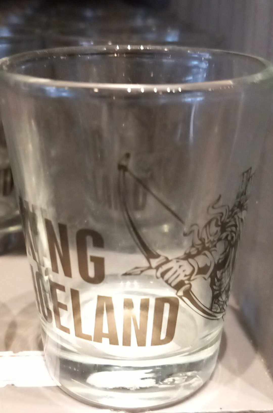 Icelandic Adventure Shot Glasses