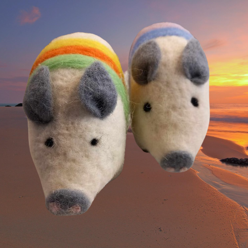 Woolly Piglets