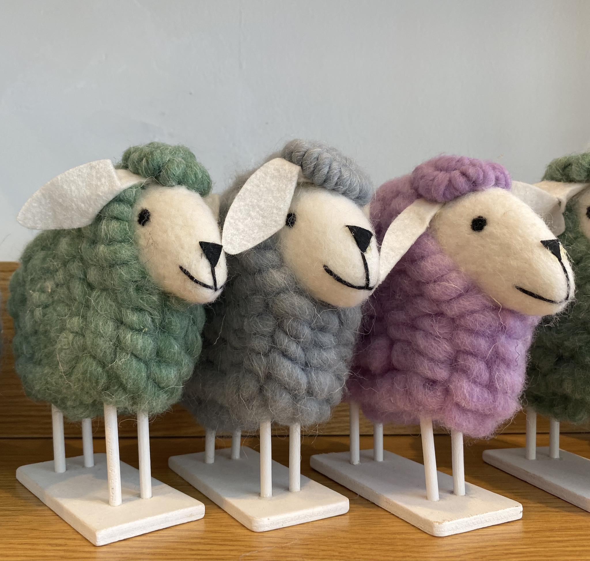 Wool Sheep With Different Colors