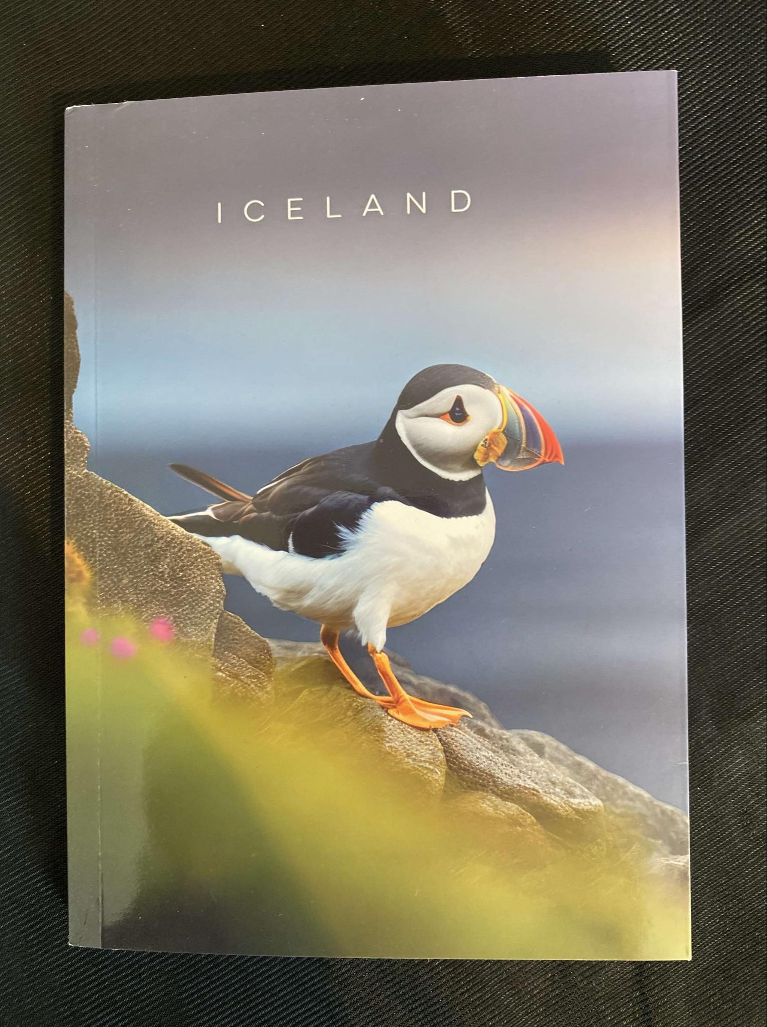 Notebook Puffin and Elephant Rock lines