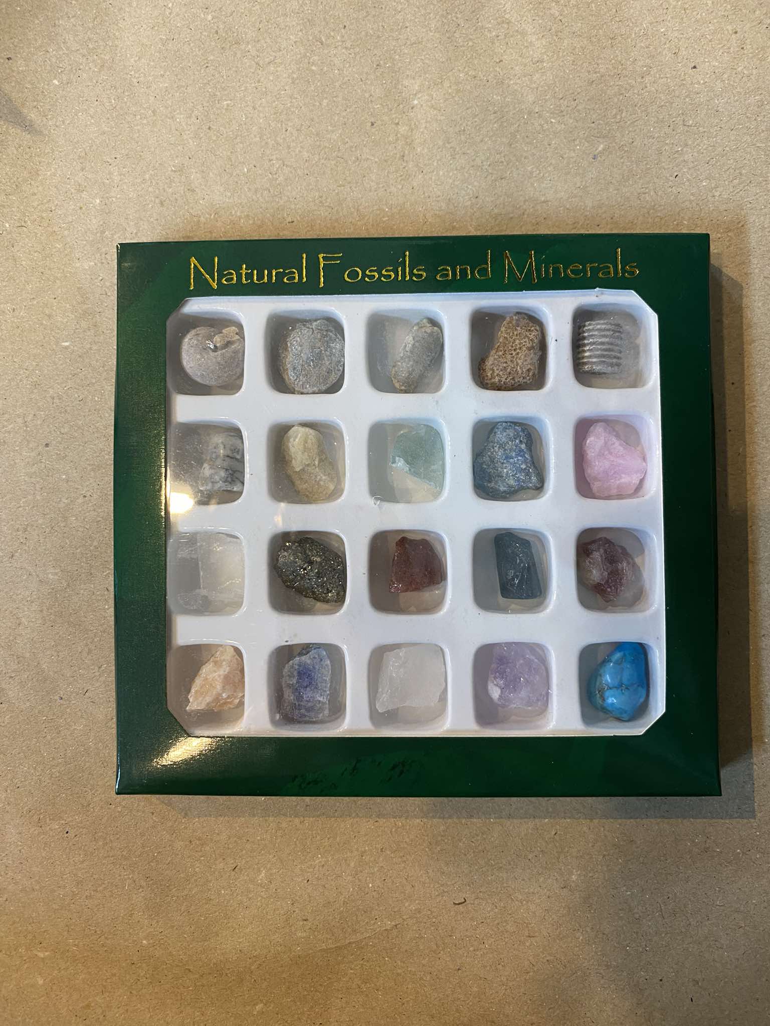 Natural Fossils and Minerals