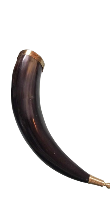 Horn with golden desgins