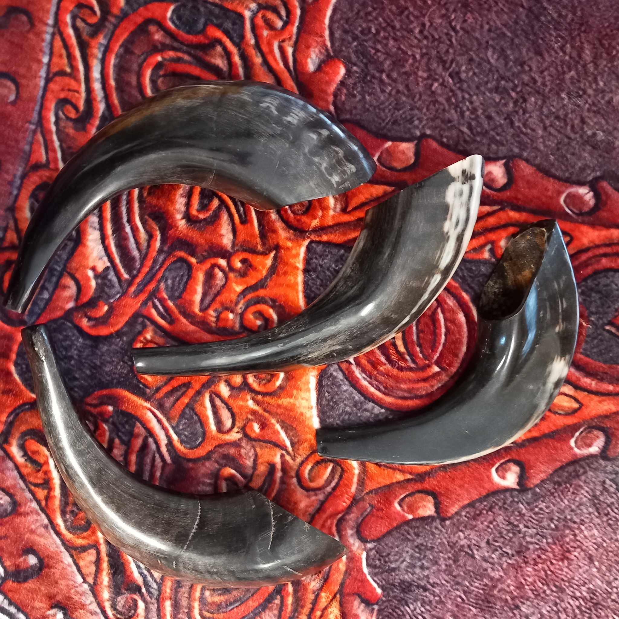 Sheep horns