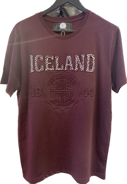 Iceland T-shirt