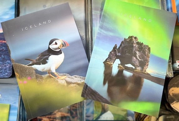 Notebook Puffin and Elephant Rock lines