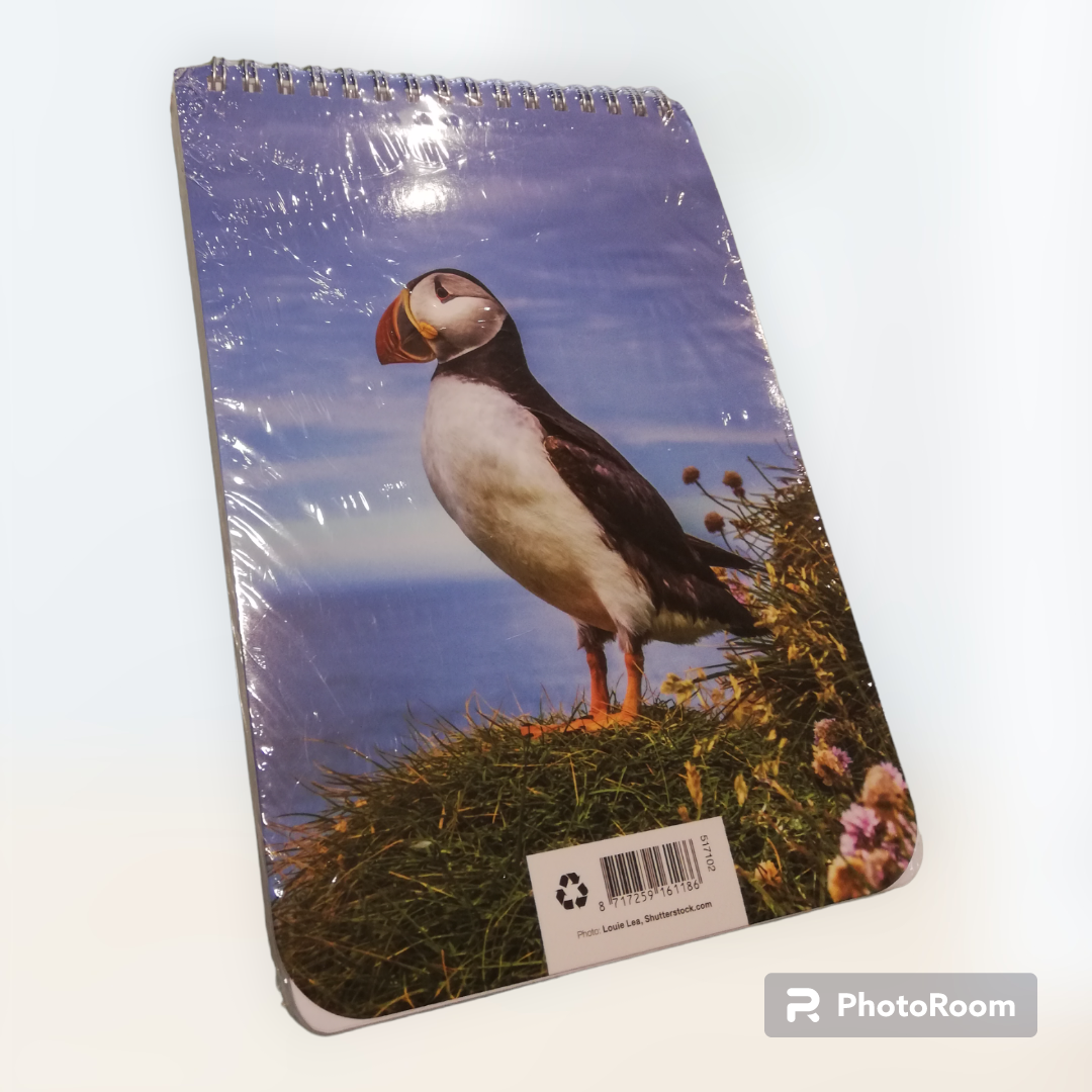 Notebooks in various styles with Icelandic landscapes