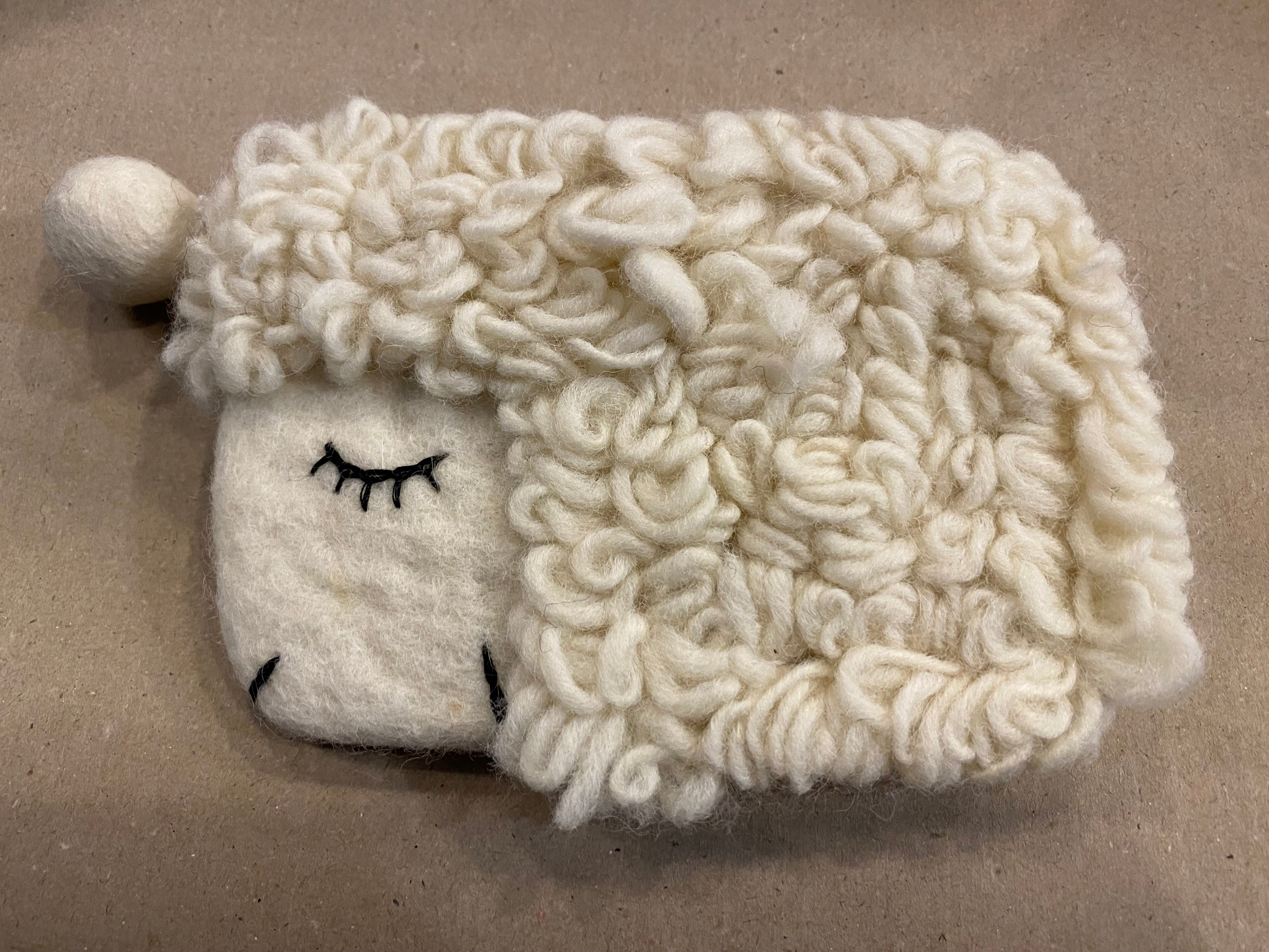 Felted wool small bag with different variants