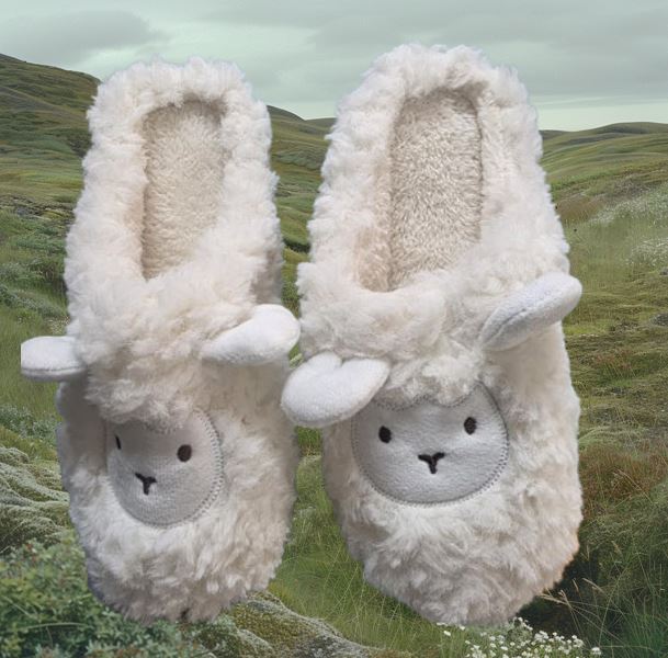 Slippers