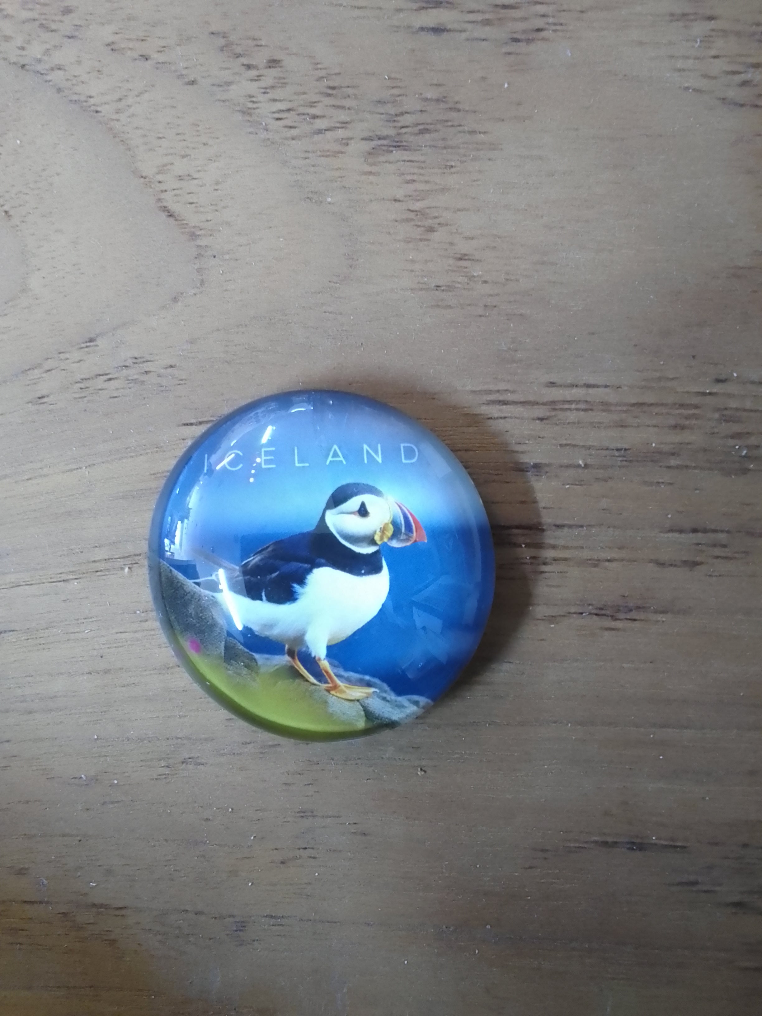 Glass Magnets by Bókafélagið