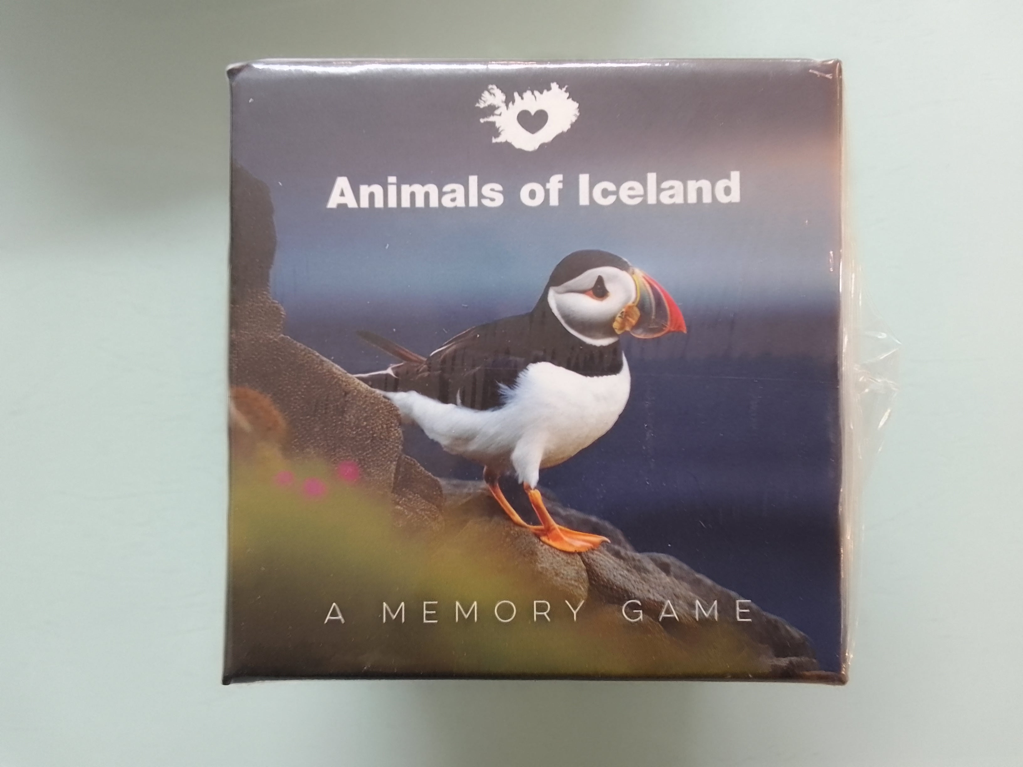 Memory Card Play Game Icelandic Birds/Icelandic Nature/Icelandic Animals