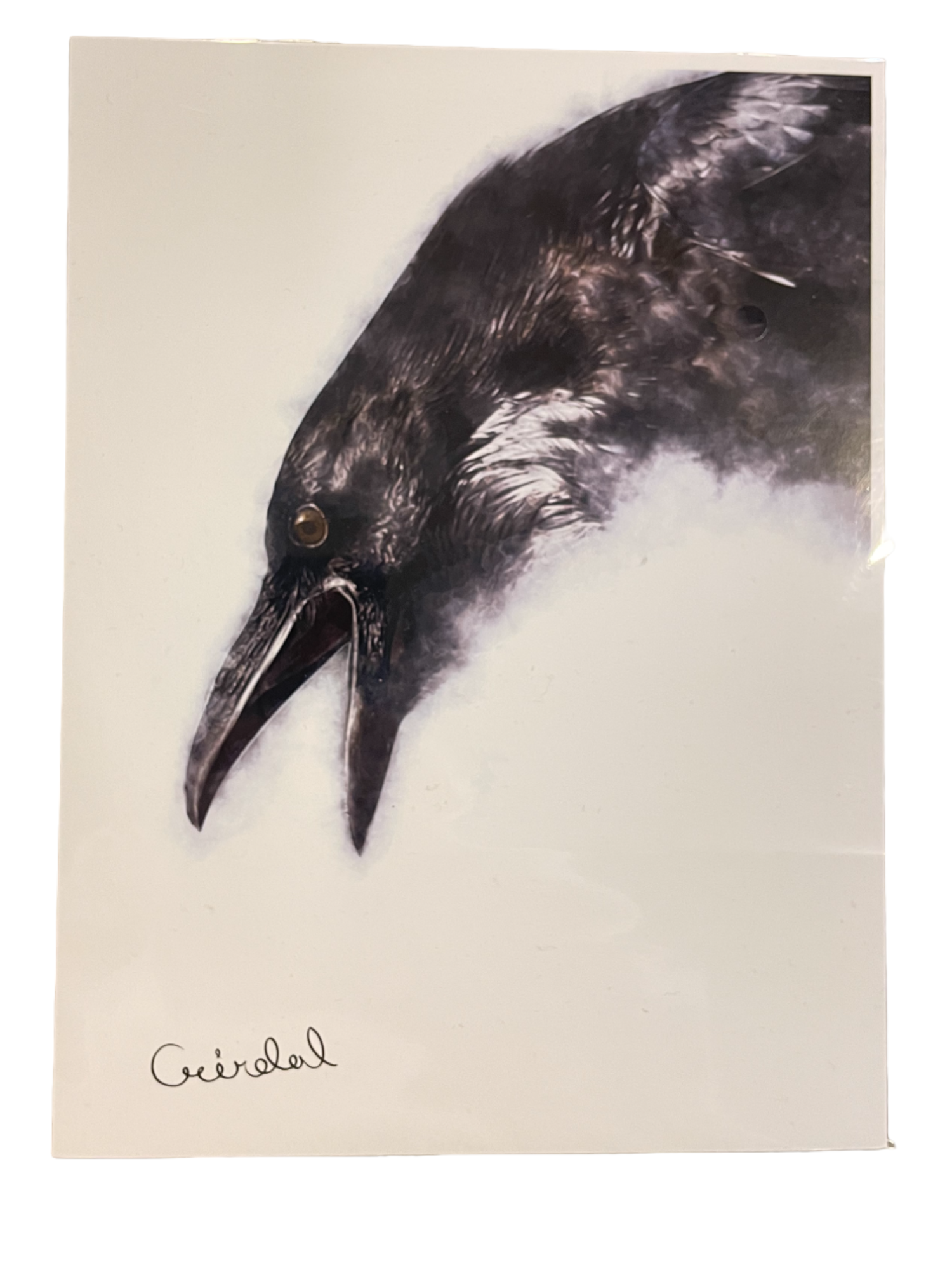 Digital Print with Icelandic Fauna by Kukla