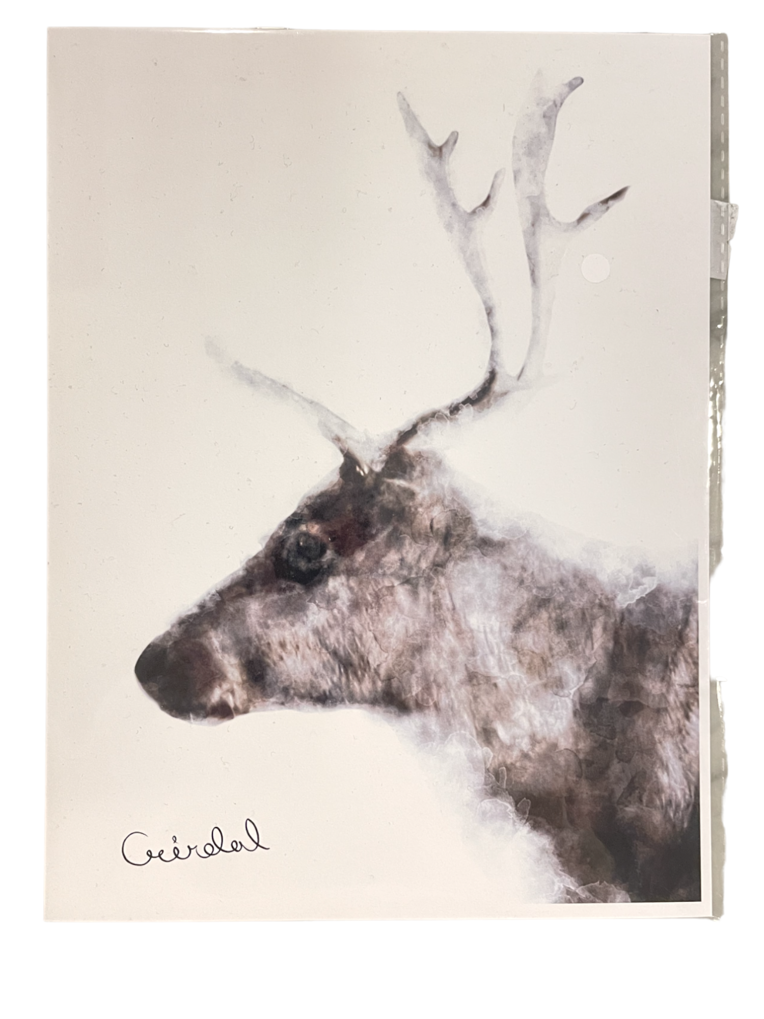 Digital Print with Icelandic Fauna by Kukla