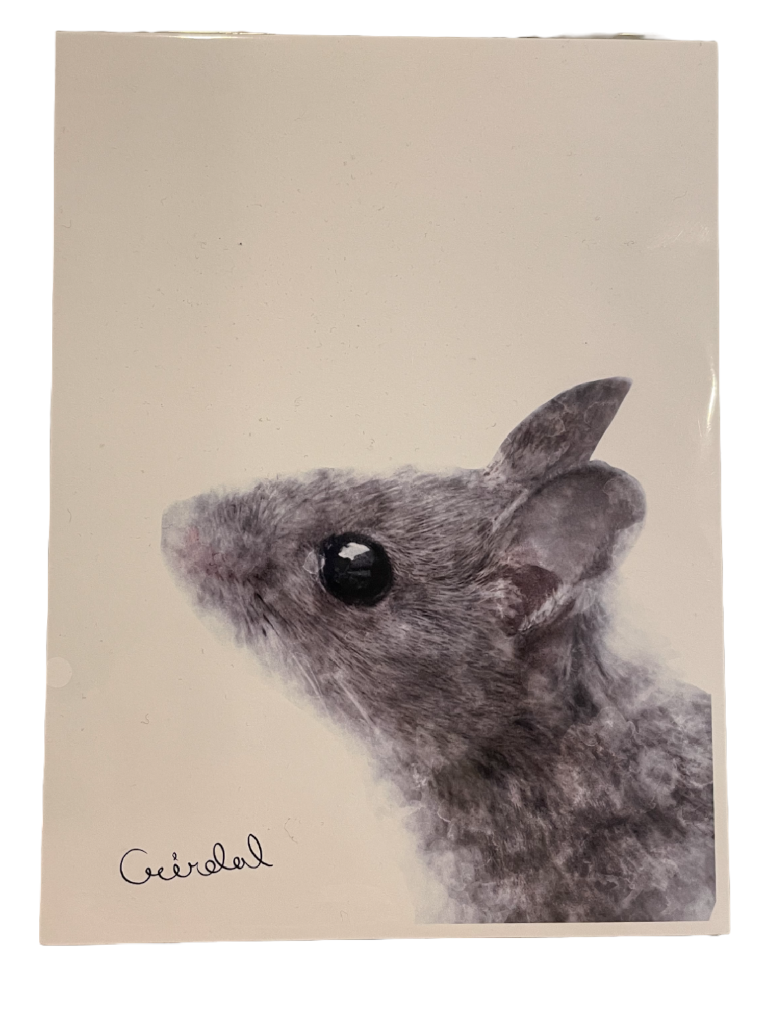 Digital Print with Icelandic Fauna by Kukla