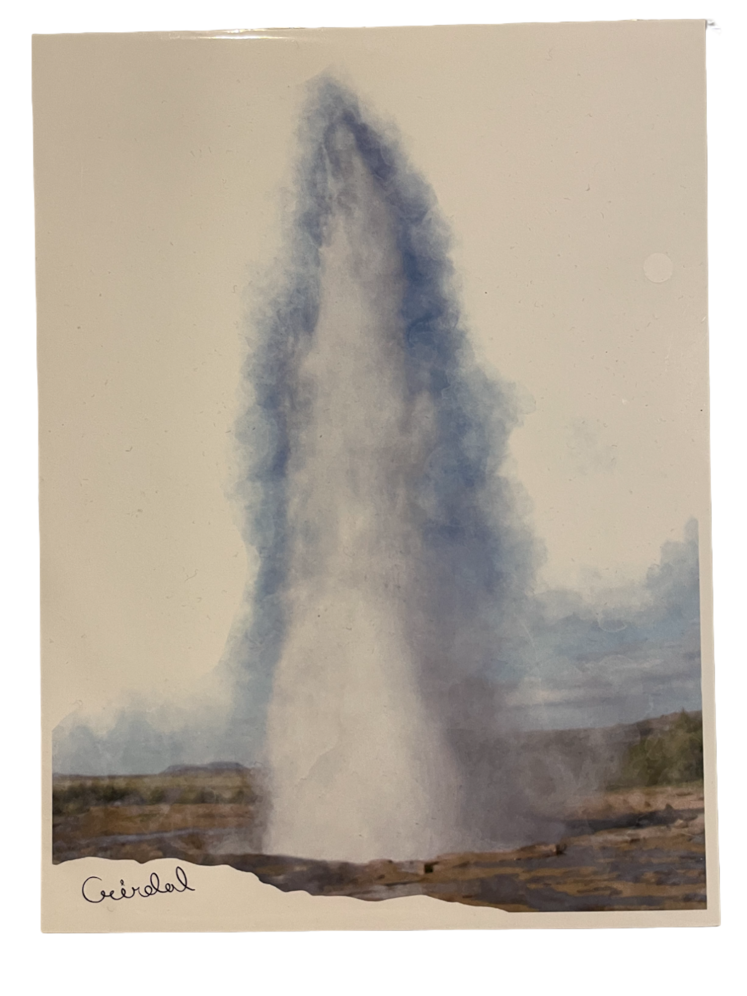 Digital Print with Icelandic Fauna by Kukla
