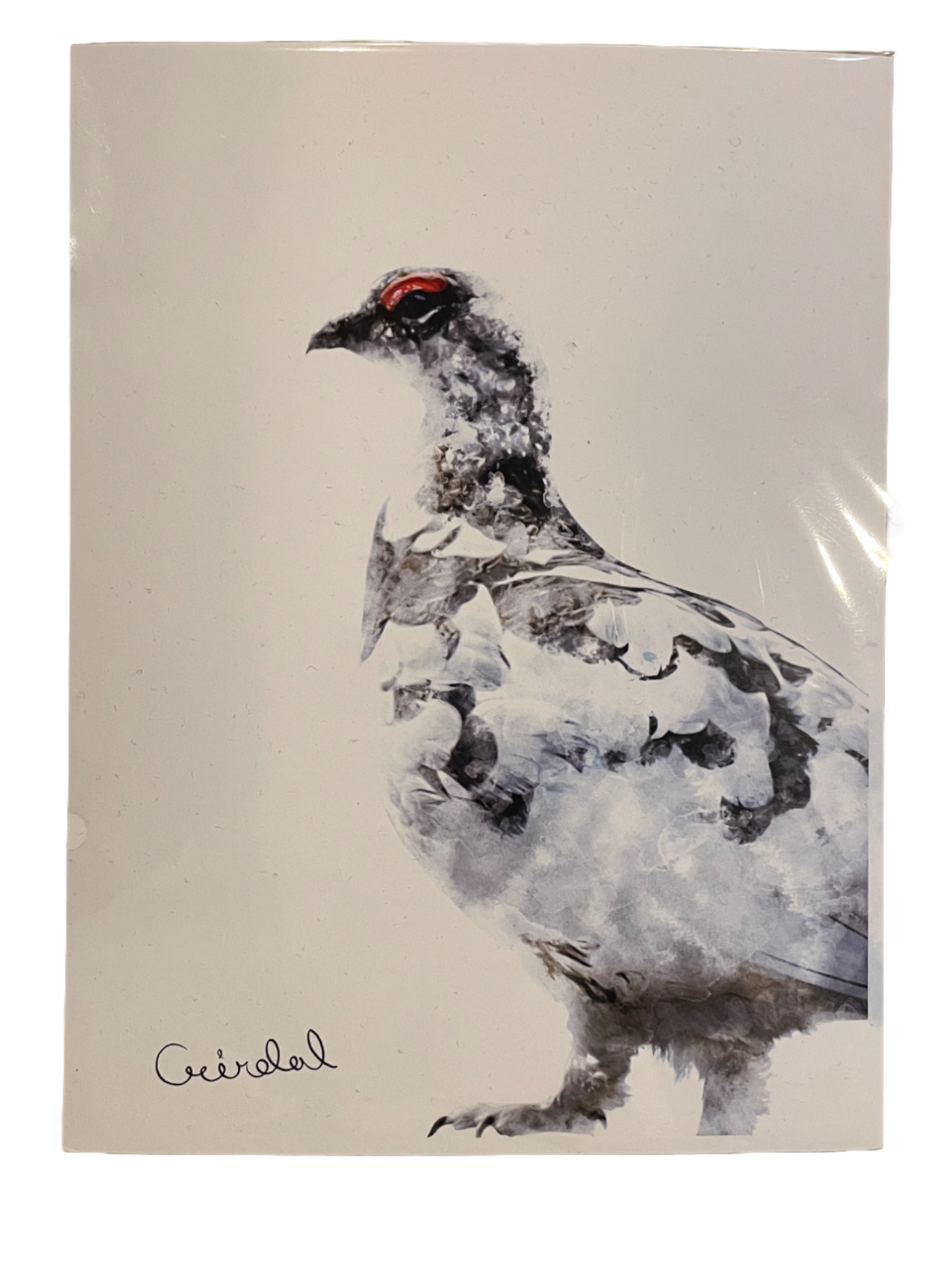 Digital Print with Icelandic Fauna by Kukla